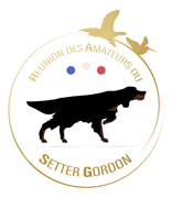 Setter Gordon